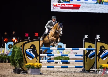 Black Stuff komanda Talino tarptautinėje žirgų parodoje 2021