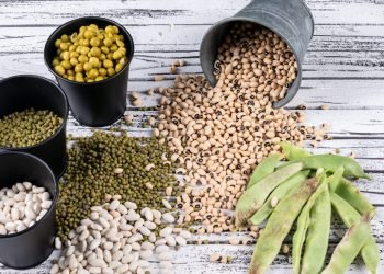 High angle view different types of peas and beans in buckets and aside on gray wooden background. horizontal