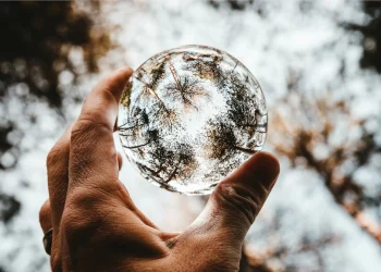 Trūkstamas nuorodas maisto grandinėje sukelia mirtiną disbalansą mūsų mikrobiomoje.